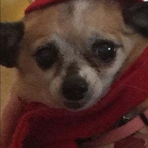 Meet your Posher, Joshua